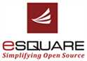job in Esquare Info Solutions