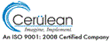 job in Cerulean Information Technology Private Ltd