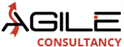 job in Agile Consultancy