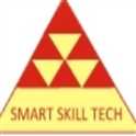 job in Smart Skill Tech Pvt Ldt