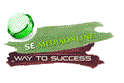 job in se media