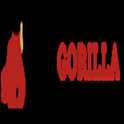 job in EduGorilla Community Pvt Ltd