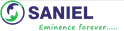 job in Saniel Software Services Pvt Ltd