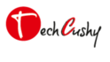 job in Techcushy Software Solutions Pvt Ltd