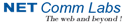 job in NetComm Labs Pvt ltd.