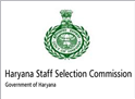 job in Haryana Staff Selection Commission