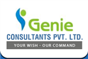 job in Genie Consultants pvt ltd