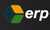 ERP Consultants