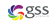 gss infotech