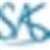 SAS Techvision