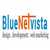 BlueNetVista