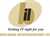 bhilwara infotech ltd