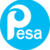 pesa net pvt ltd