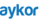 RAYKOR TECHNOLOGIES