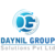 Daynil Group Solution