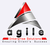 Agile enterprise