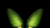 Sandtell Software Systems Pvt Ltd