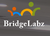 BridgeLabz Solutions LLP