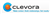 CLEVORA GLOBAL OUTSOURCING SERVICES LLP