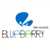Blueberry Web Solution Pvt Ltd