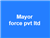 Mayor force pvt ltd
