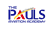 Pauls Aviation Academy