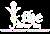 Tours and Travel