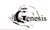 GENESIS SOLUTIONS