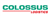 Colossus Consultancy Services