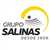 GRUPO SALINAS