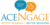 AceNgage InfoServices Pvt Ltd
