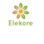 Elekore systems Private Limited