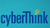 cyberThink InfoTech Pvt Ltd