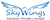 Skywings Advisors Pvt Ltd