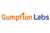 Gumption Labs Software Solutions Pvt Ltd