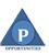 Opportunities Consultant Pvt Ltd