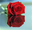 Sandeep Kumar