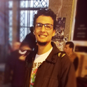 Mohamed Alaaeldin Atta