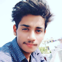 Vijay Pal Meena