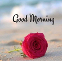 Narinder Kumar