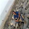 Animesh Sen