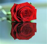 Sandeep Kumar