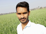 Satpathi Saurav