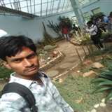 Jay Singh