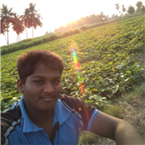 Vignesh Ramalingam