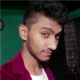 Pratik Narayan Bawankule
