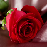 Dinesh Babu