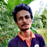 Ashish Kumar Jha