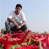 M.Sri Harsha