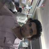Sadik Gaur